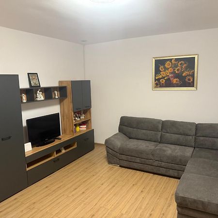 Modernul Apartament De Langa Castel Хунедоара Екстериор снимка