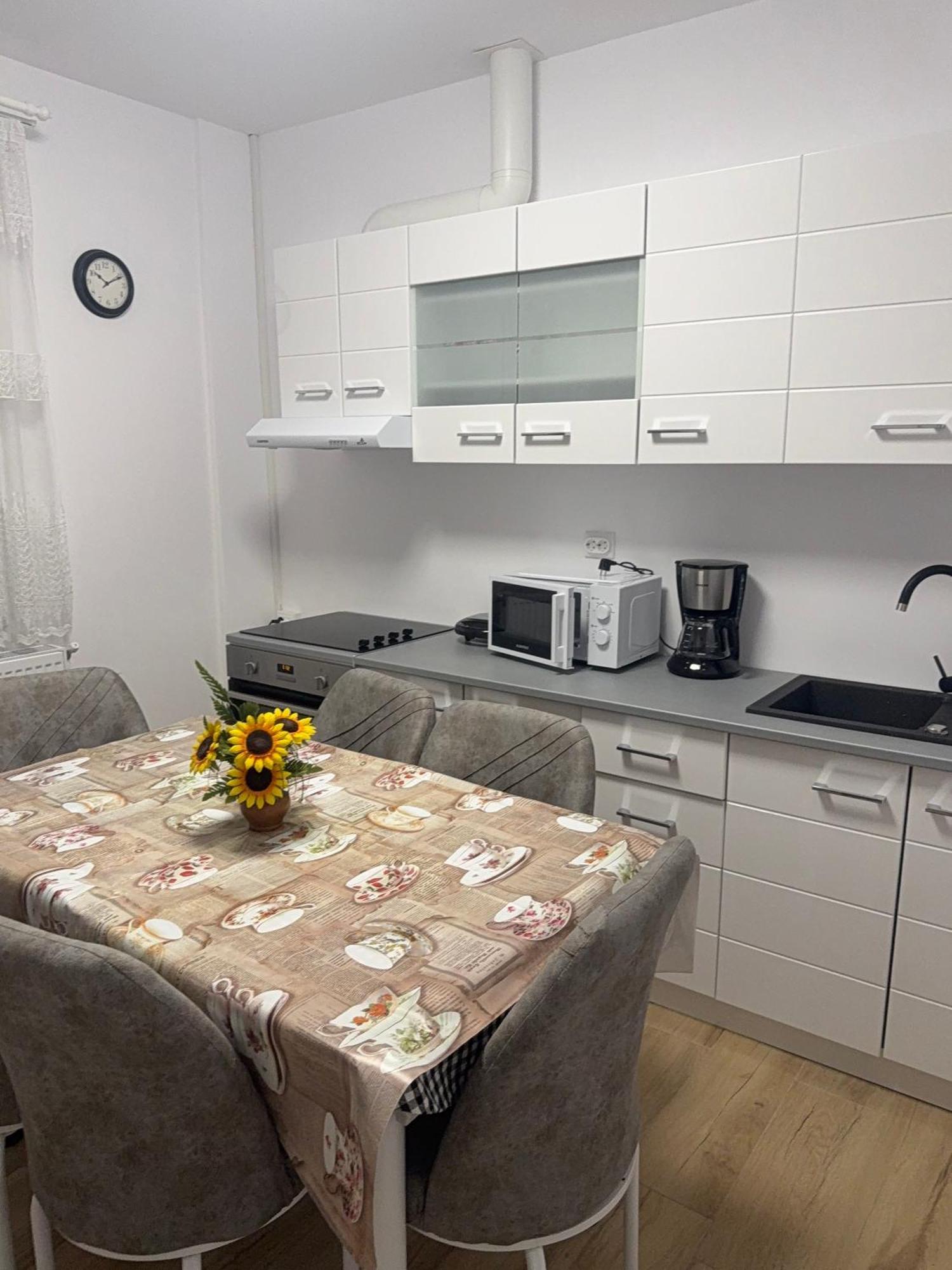 Modernul Apartament De Langa Castel Хунедоара Екстериор снимка